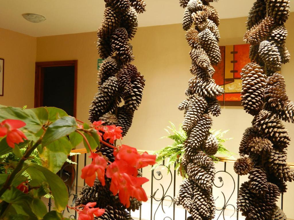 El Lenador Hotel 3*